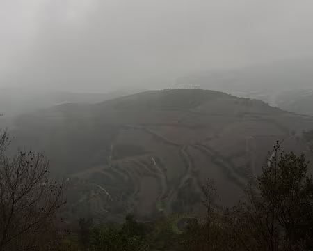 2015_03_22_09h5600 Vignoble de Banyuls