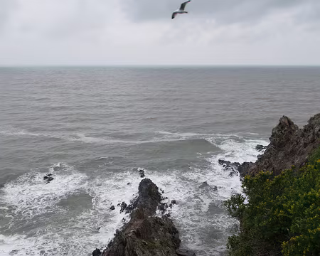 2015_03_22_11h3223 Cap d'Ona à Banyuls