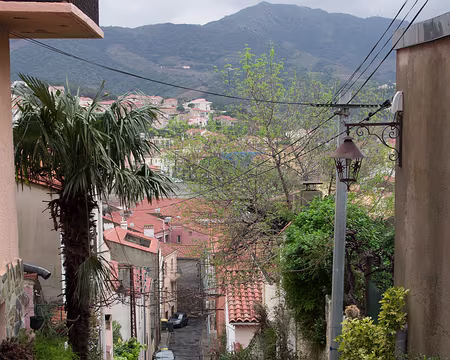 2015_03_22_11h4117 Banyuls, riante même par temps humide