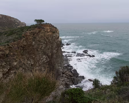 2015_03_22_14h2820 Pourtant, ce pin était au soleil dans la fiche technique?