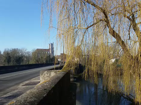 Caroline Caroline P, détail sortie