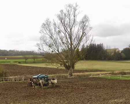 PXL014 Anes du Vexin