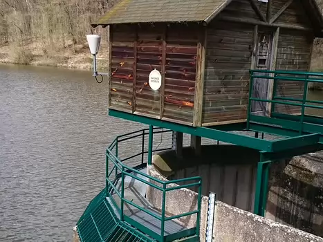 Martine Martine D, détail sortie