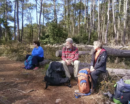 000093 halte en forêt, la marche a été longue