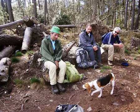 dialogue canin dialogue canin