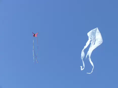 Pascale Pascale M, détail sortie