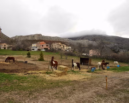 PXL029 J2 - Centre équestre de St-Geniez