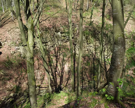 006 Premières roches