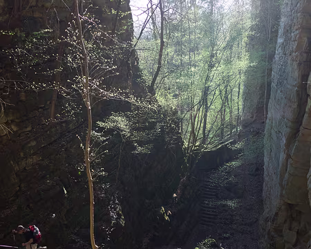 035 La Wolfschlucht (Gorge aux Loups)