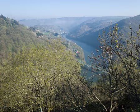 242 Vallée de l'Our