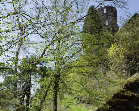 253 Les ruines privées du château de Falkenstein