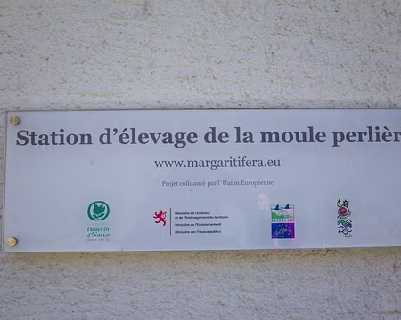 277 Projet européen