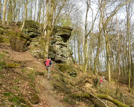 PXL038 ... et dans la forêt de hêtres.