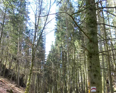 PXL042 En suivant la 