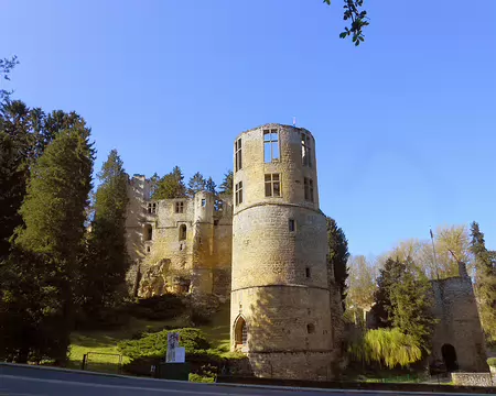 PXL063 ...dont le château du XIIè s...