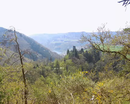 PXL101 Le château de Falkenstein