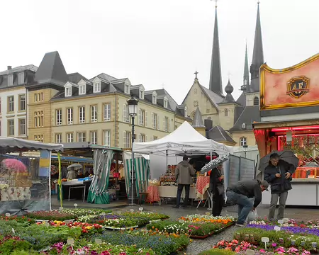 PXL131 La Cathédrale depuis la place Guillaume II