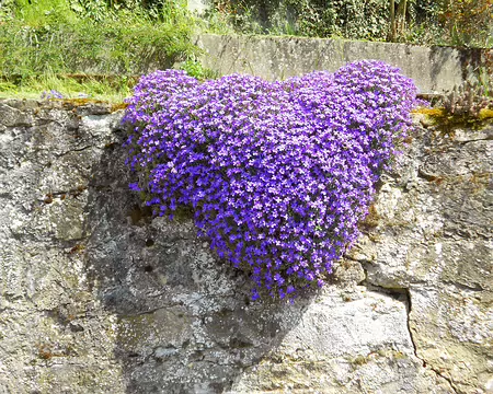 PXL142 Jolie randonnée printanière au coeur du Luxembourg romantique. Merci à Alain.