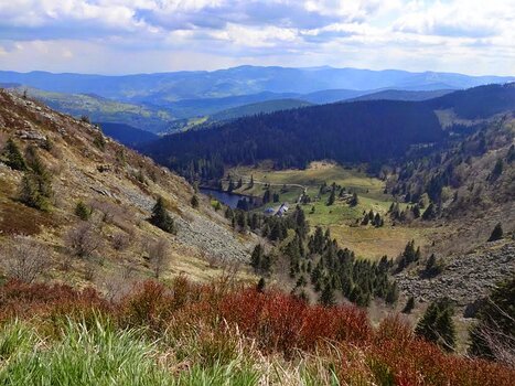 Elisabeth et Hervé Elisabeth et Hervé P, détail sortie