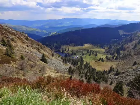 Elisabeth et Hervé Elisabeth et Hervé P, détail sortie