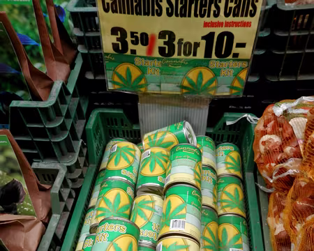 P5021621 marché aux fleurs