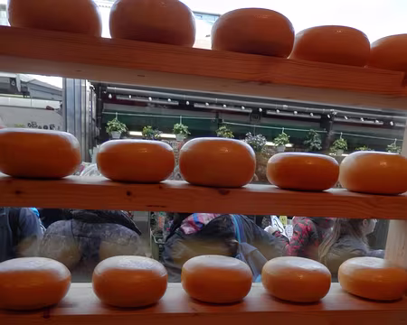 P5021626 Effet gouda