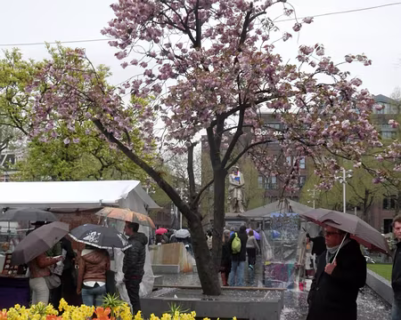 P5031770 Rembrandt plein