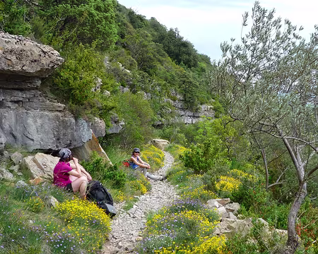 PXL014 Pendant que les autres cherchent les fossiles