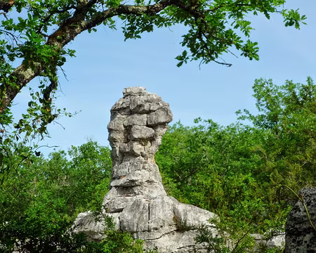 PXL047 Dans le bois de Païolive