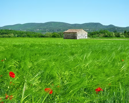 PXL053 La traversée de la plaine bien chaude !