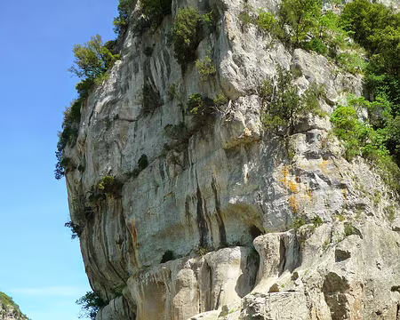 PXL078z1698 Nous admirons les génévriers de Phénicie accrochés à la roche (certains sont millénaires)