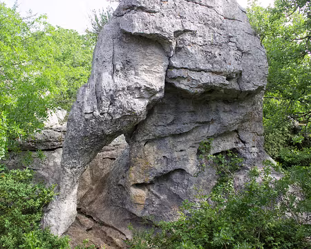 IMG_9484 L'éléphant