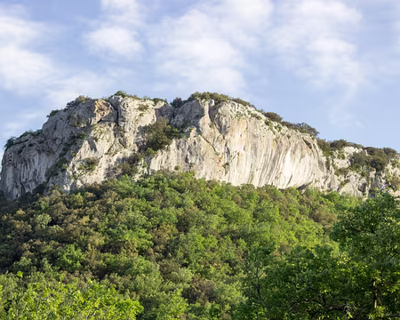 IMG_9523 Lumière du soir...