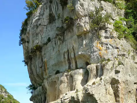 Bernadette Bernadette P, détail sortie