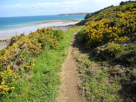 Claude Claude R, détail sortie