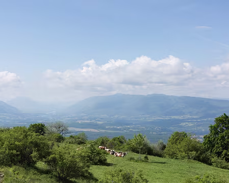 FM9A9561 Vue vers le Grand Colombier et la vallée du Rhône