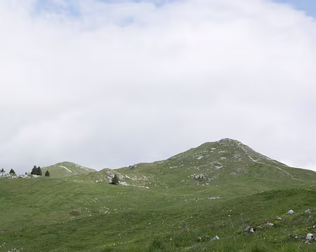 FM9A9571 Crêt du Milieu (1597m) et Crêt de la Goutte (1621m) sur la gauche