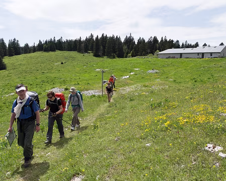 FM9A9656 La Poutouille