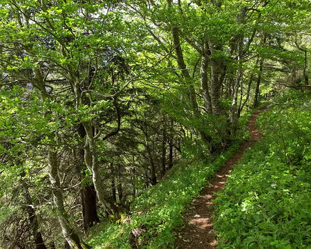 FM9A9699 Descente sous le passage du Gralet