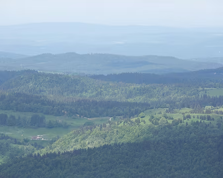 FM9A9821 La Borne au Lion