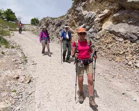 FM9A9874 Chemin bétonné