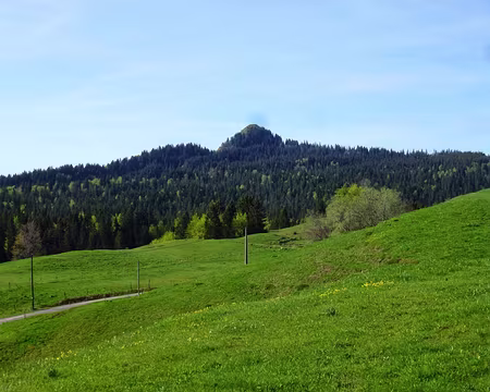 PXL057 INTERPRETATION