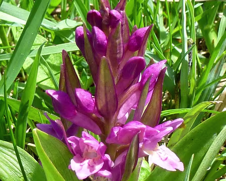 PXL103 APPRENTISSAGE