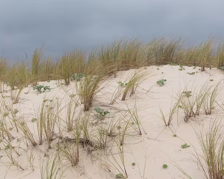 FM9A8016 Carcans Plage