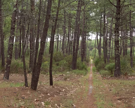 FM9A8074 dont la plupart ont été faites par les allemands pendant l’occupation