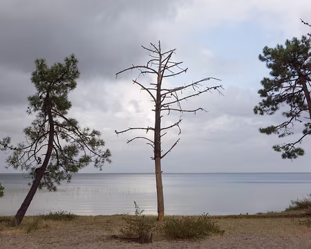 FM9A8296 Lac d’Hourtin