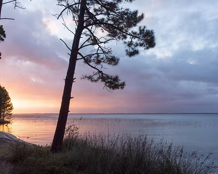 FM9A8320 Lever de soleil sur le lac d’Hourtin