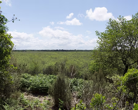 FM9A8419 Marais du Montaut