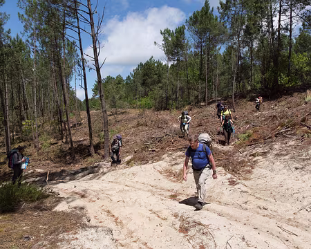 FM9A8433 Un peu de hors-piste