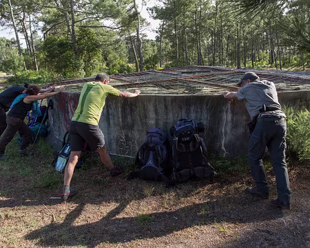 FM9A8543 Rien à faire, ce truc ne veut pas bouger !
